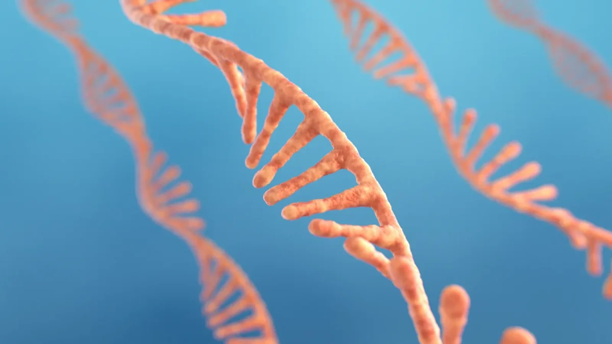 Arrowhead Receives FDA Approval for Redemplo