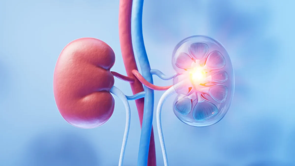 Travere Secures FDA Approval for Filspari in Kidney Disease